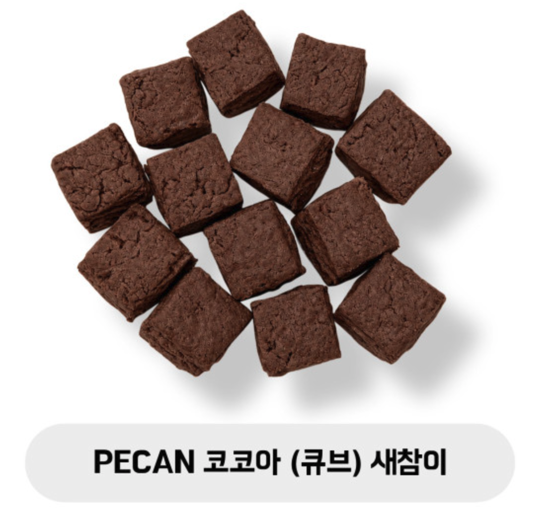 PECAN 코코아 새참이